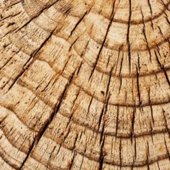 Indoor/Outdoor Faux Concrete Stump Accent Table Brown - Threshold™ Designed With Studio McGee -Fradel & Spies GUEST 03deabfd 2b62 4725 94b4 09a321ea8678