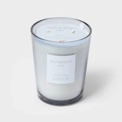 Colored Vase Glass With Dustcover Rainwater Lily Candle Gray - Threshold™ -Fradel & Spies GUEST 1a738ead 7e7a 4f46 b4ff 79439b3488d0