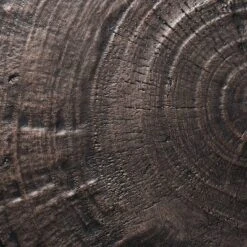 Grantsville Drum Accent Table Black - Threshold™ Designed With Studio McGee -Fradel & Spies GUEST 2a48e59f 9a1e 4d95 a641 6710dbd36ebe