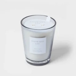 Colored Vase Glass With Dustcover Rainwater Lily Candle Gray - Threshold™ -Fradel & Spies GUEST 2e50a42e 63db 4b02 b057 d911289b4b14