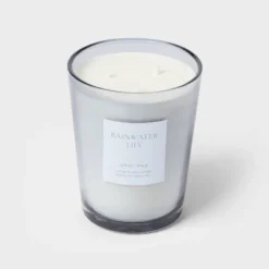 Colored Vase Glass With Dustcover Rainwater Lily Candle Gray - Threshold™ -Fradel & Spies GUEST 4dd3a894 6c80 4248 a2de 93743bf8dee9