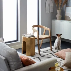 Lana Curved Back Dining Chair - Threshold™ -Fradel & Spies GUEST 6fd58124 cdda 4f96 84ee cdc185313148