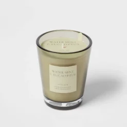 Colored Vase Glass With Dustcover Watermint And Eucalyptus Candle Green - Threshold™ -Fradel & Spies GUEST ae8e6bdf 6741 4047 bc7b 87c9f71c548e
