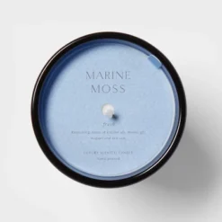 Colored Vase Glass With Dustcover Marine Moss Candle Blue - Threshold™ -Fradel & Spies GUEST e5035607 20cd 4e66 bc9b 502503c48b69